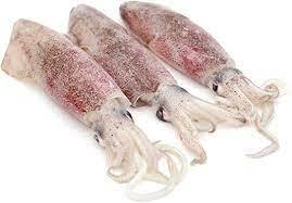 Squid 魷魚